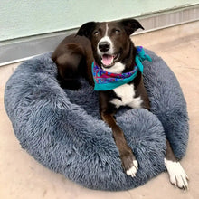 画像をギャラリービューアに読み込む, MrFluffyFriend - ワンちゃんのストレスを和らげる極上のペットベッド