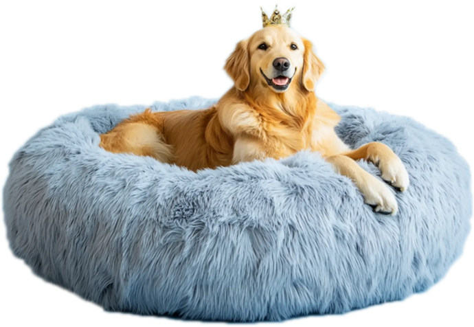 🐶 本物のフラフィードッグベッドと偽物ベッドの見分け方 - 知っておきたいこと・効果がある理由・役立つ仕組み