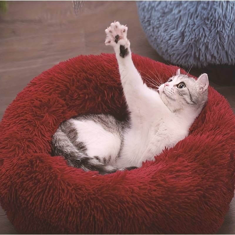 かわいくて遊び心満載の灰色と白の猫が、足を上げて赤い抗不安猫ベッドでくつろいでいる