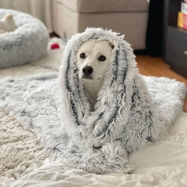 11_cbb50653-f46c-49f7-8819-