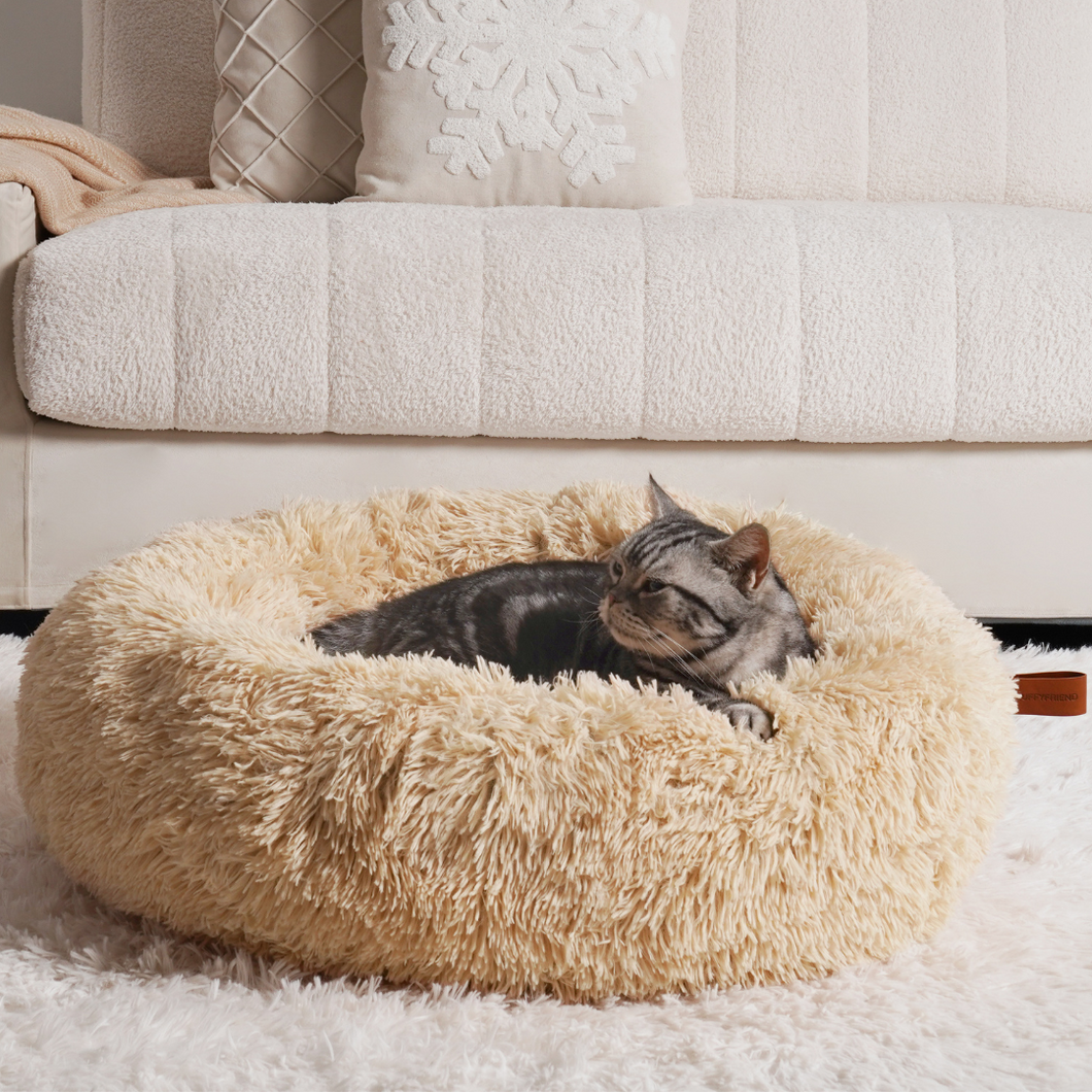 ふわふわのベージュの丸い抗不安猫ベッドで、ふかふかの白いラグの上にくつろいでいる猫