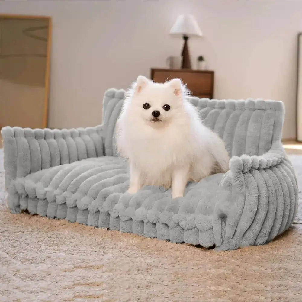 Fluffy white Pomeranian dog sitting comfortably on a soft light gray Orthopaedic Washable Dog Sofa