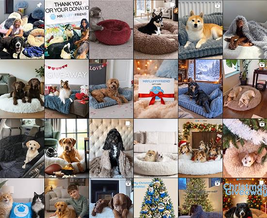 お客様かが投稿した犬や猫がMrFluffyFriend商品でくつろいでいる写真のコラージュ