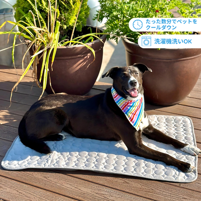 最高の犬用クールマット - MrFluffyFriend