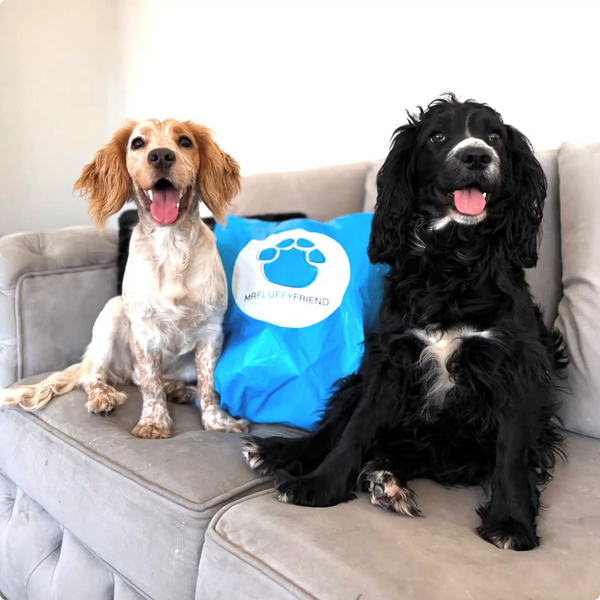 MrFluffyFriend商品の開封方法 とお手入れの仕方🐾