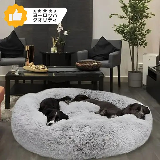 あなたの大切なワンちゃんにワンランク上の快適さを。